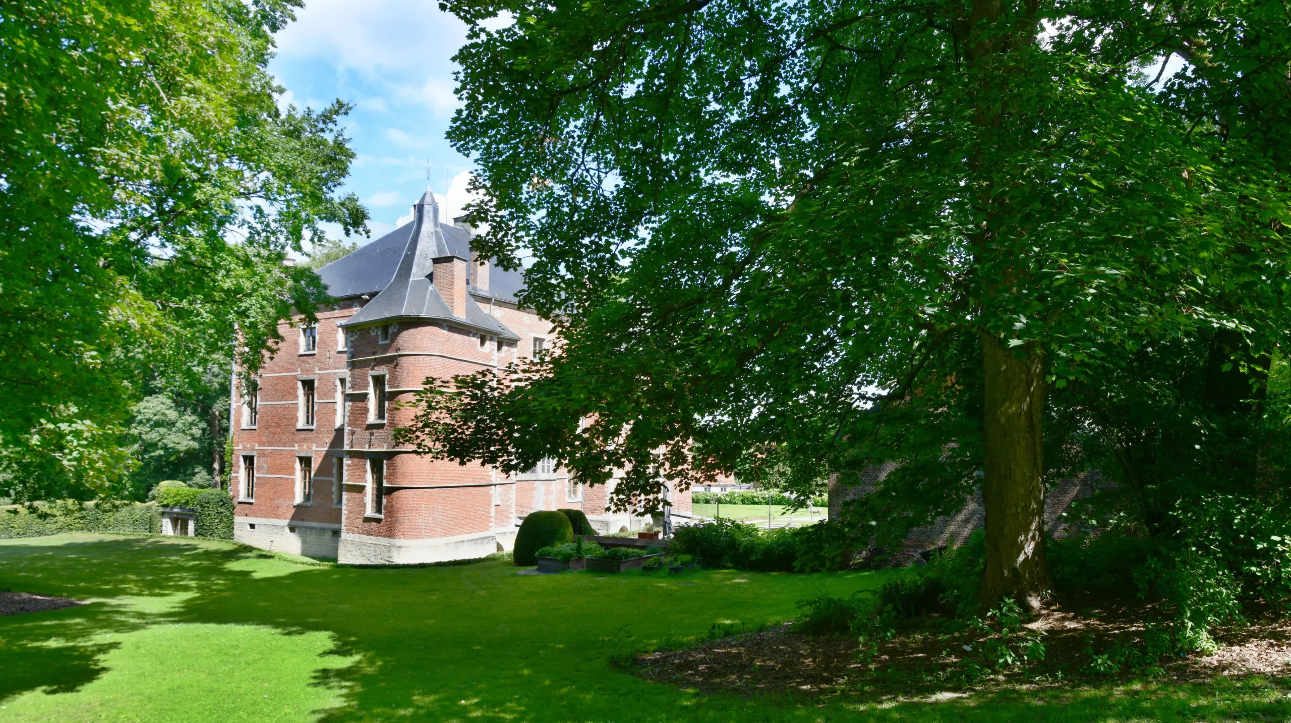 kasteel tussen de bomen