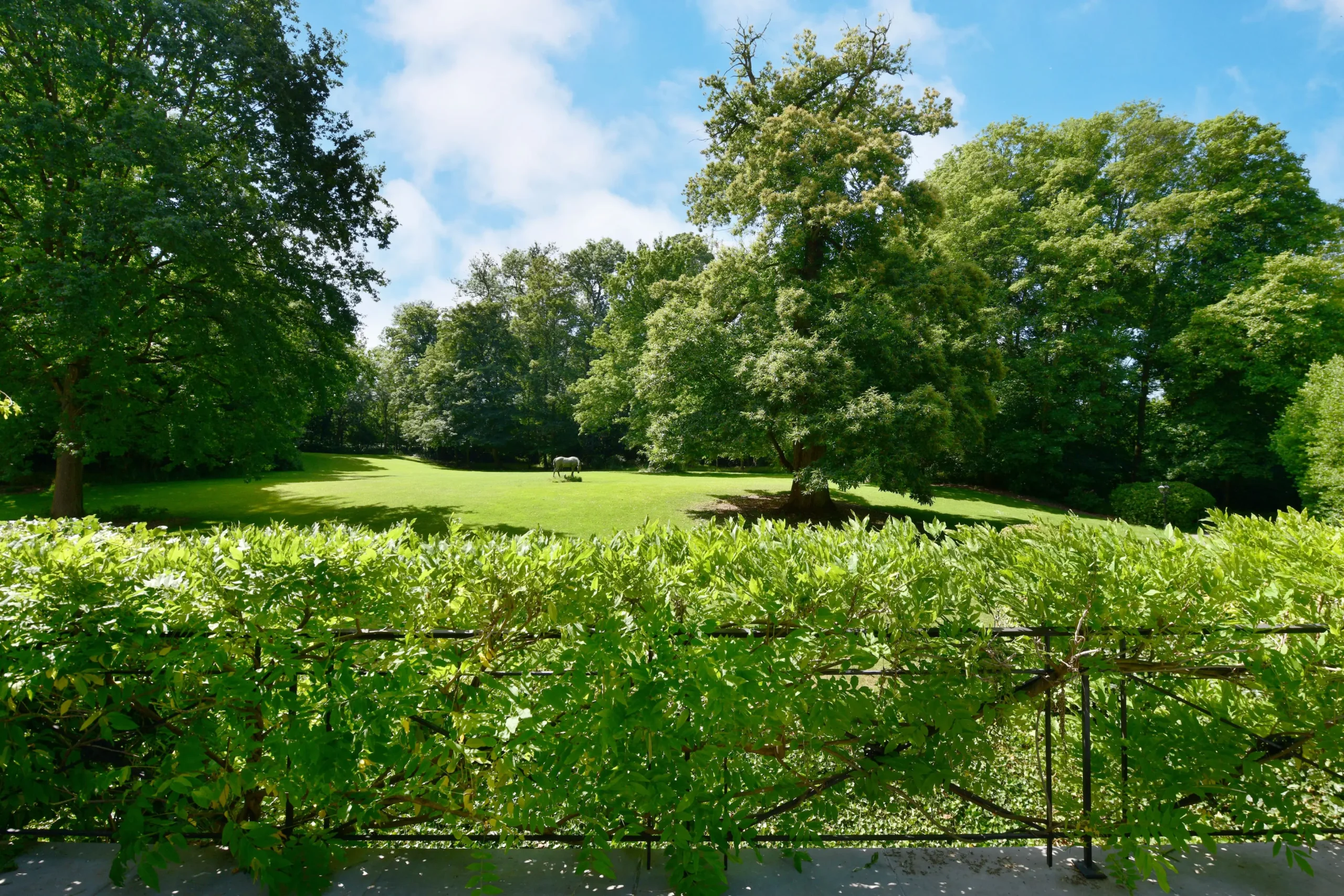 enorme tuin met paarden