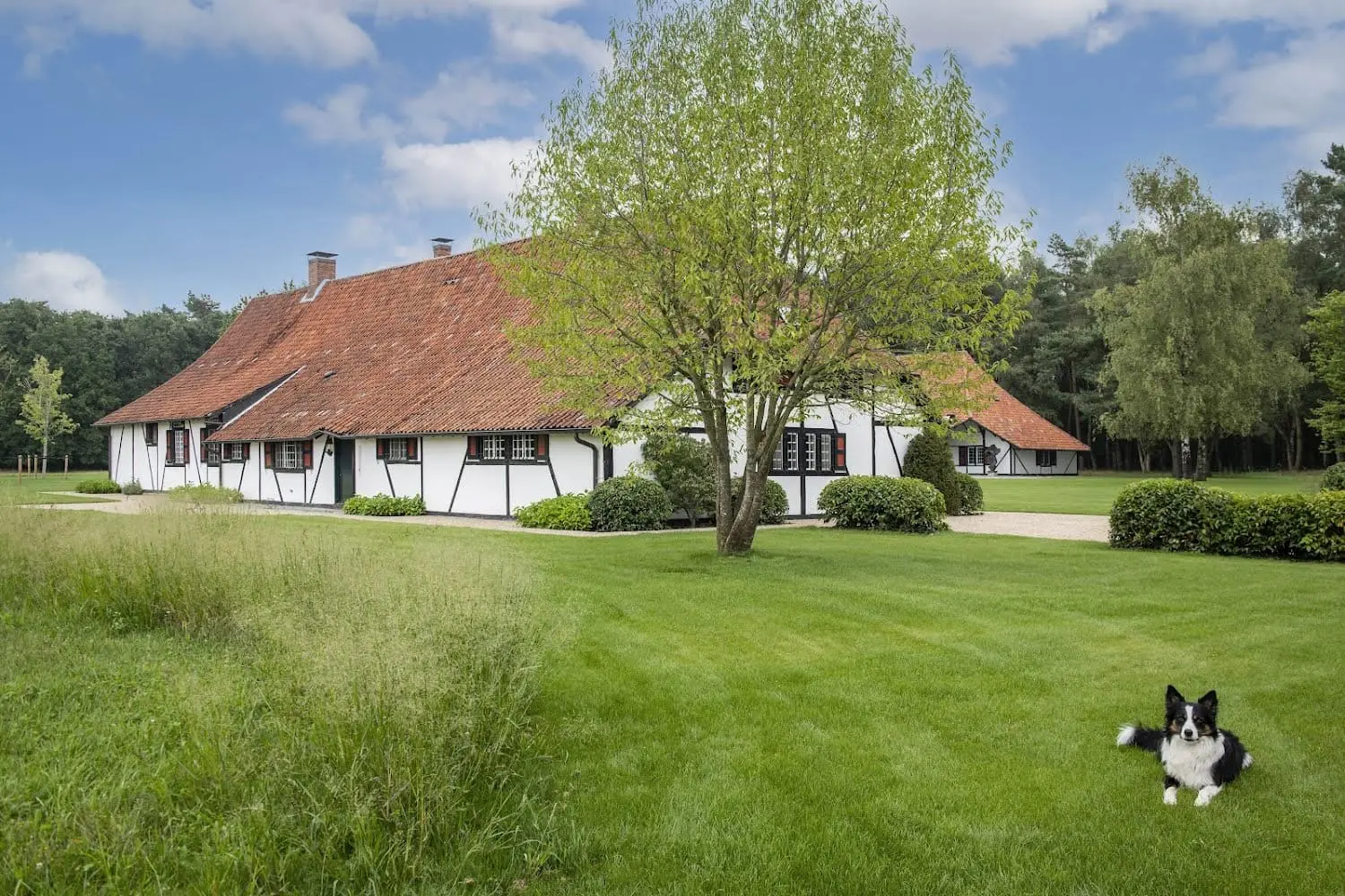 Hoeve met dak in open tuinlandschap.