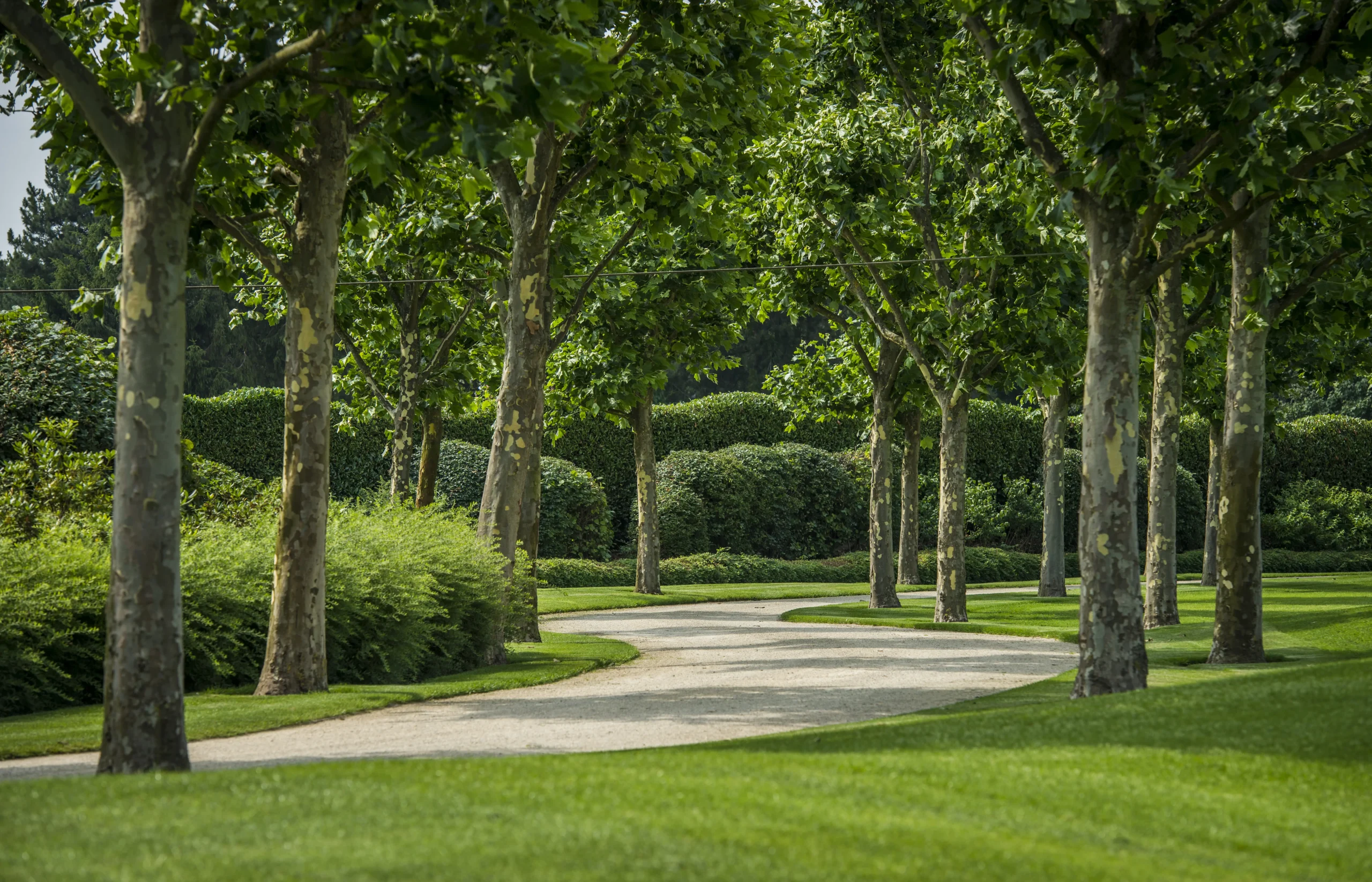 Groene tuin met symmetrische zichtlijnen en volwassen bomen.