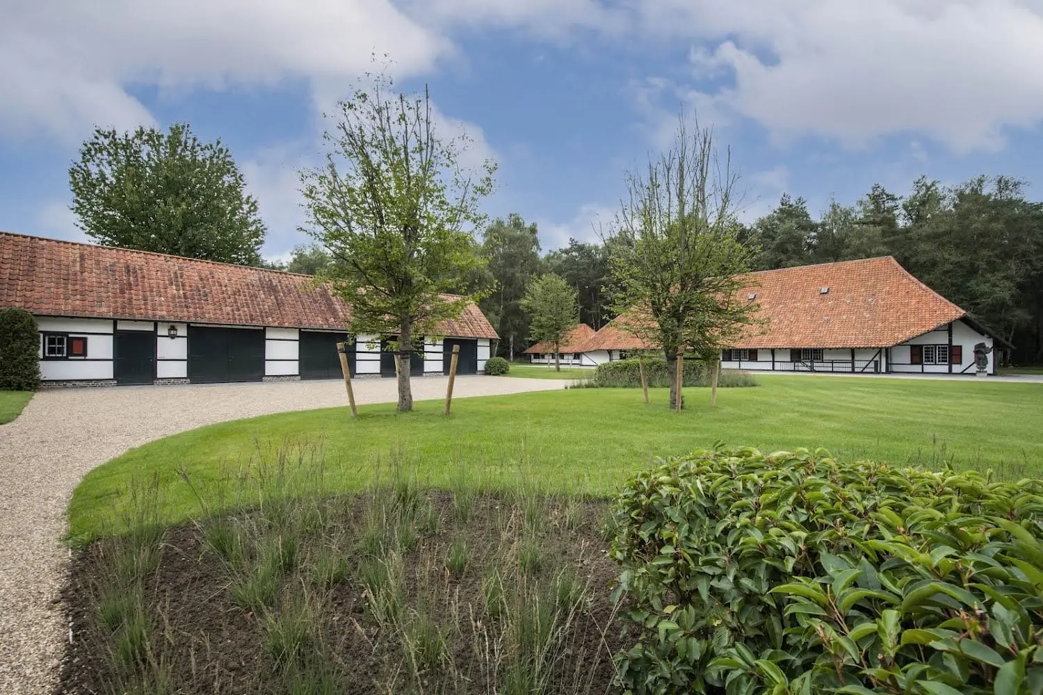 Groene weide met landelijke bebouwing en open structuur.