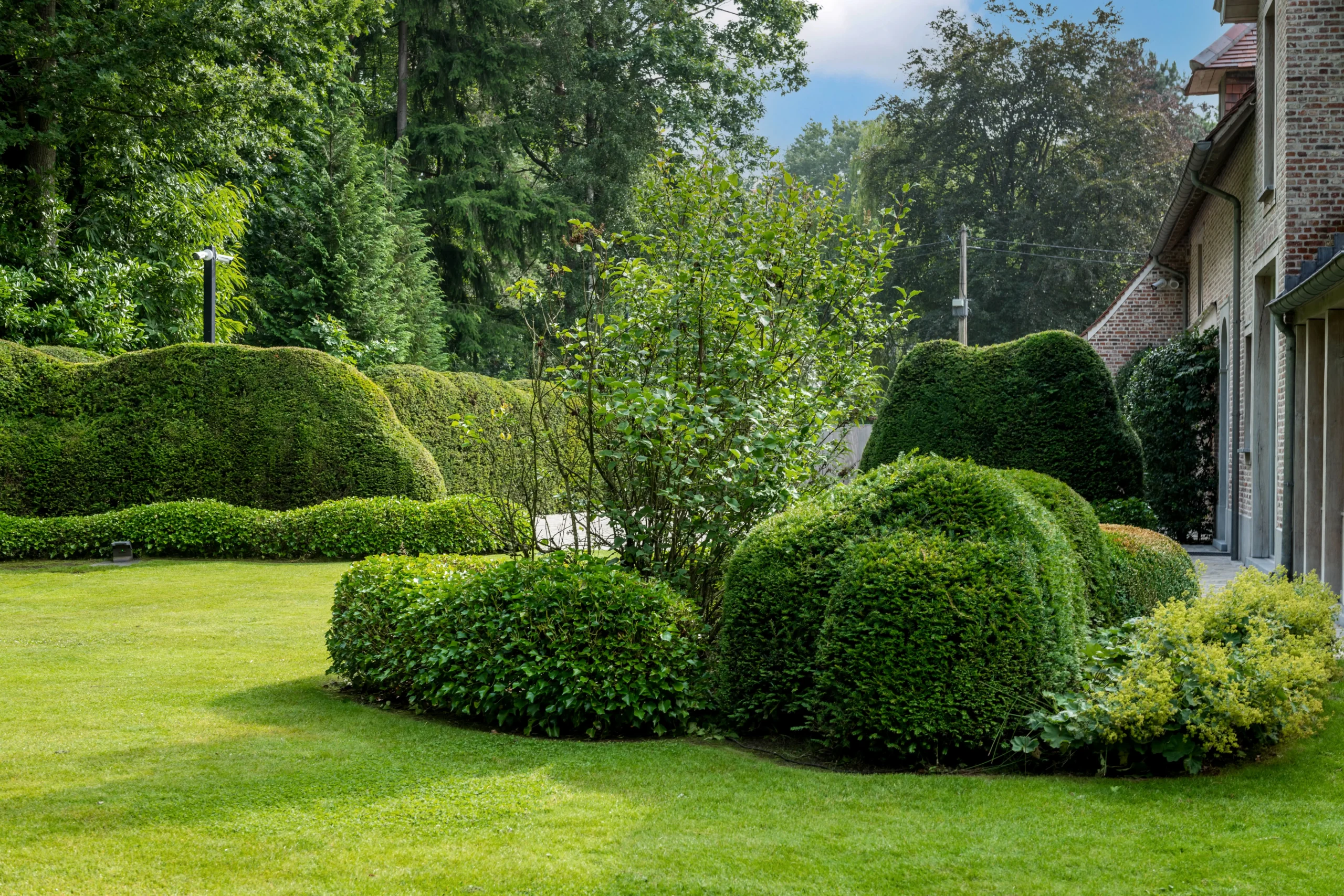 Gesnoeide hagen en organische vormen in landelijke tuin.