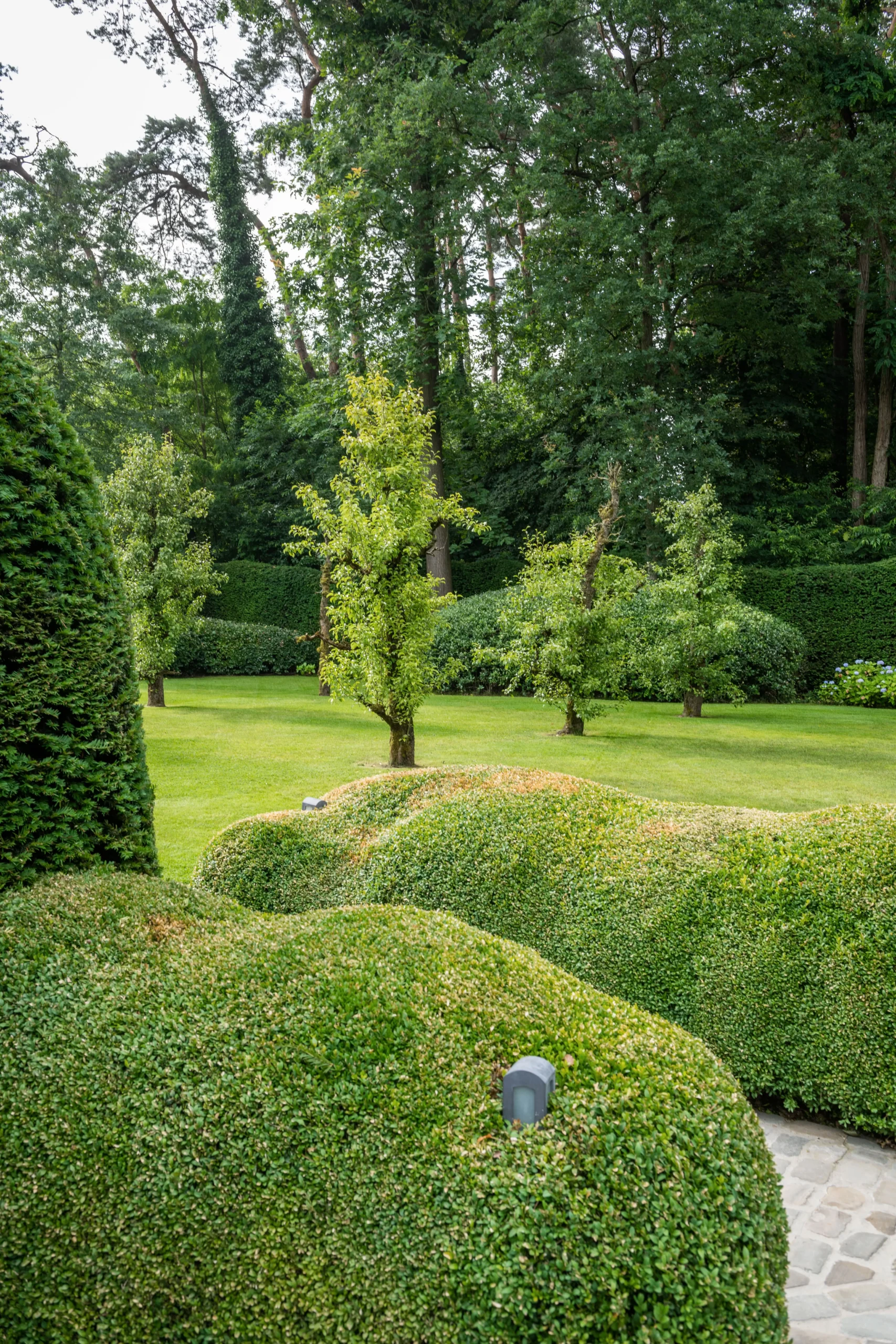 Formele tuin met buxusstructuren en groene borders.